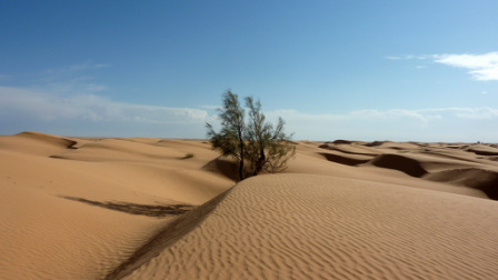 Human interaction in the sahara desert